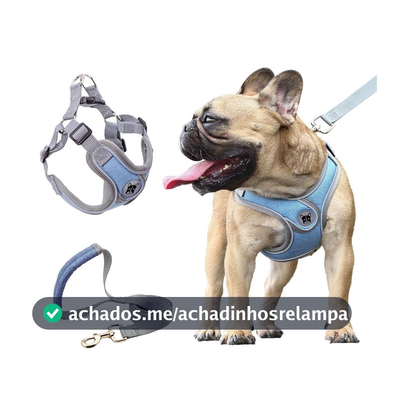 Coleira Peitoral para Cachorros Ajustável com Guia de Passeio-PP