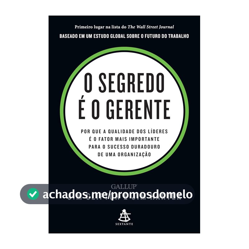 O segredo é o gerente: Por que a qualidade dos líderes é o fator mais importante para o sucesso duradouro de uma organização