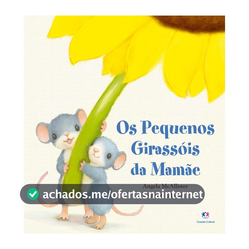 Os pequenos girassóis da mamãe
