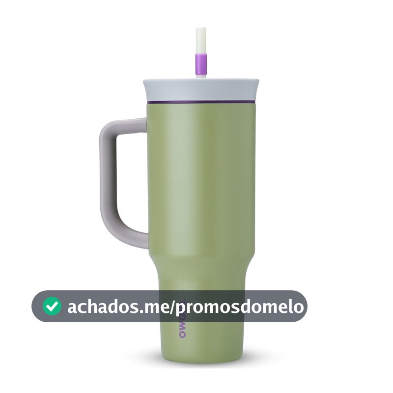 Copo Owala Tumbler Aço Inoxidável Térmico 40oz/1.180ml Green Hip Cactus