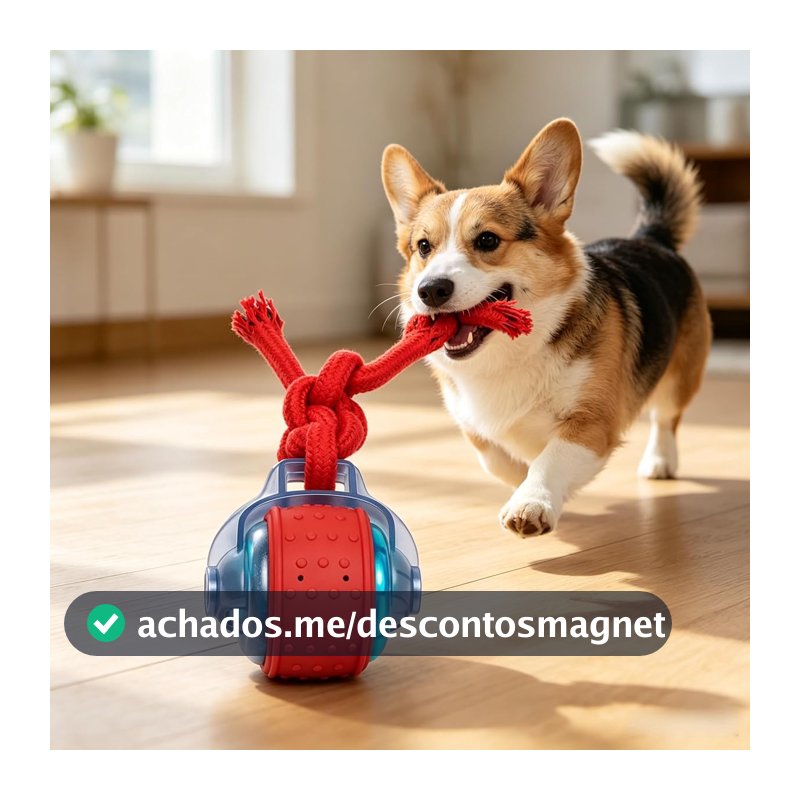 NEWPET Brinquedos Elétricos Interativos Para Cães E Gatos,Brinquedos Interativos para Cães: Bola que Quica e Salta