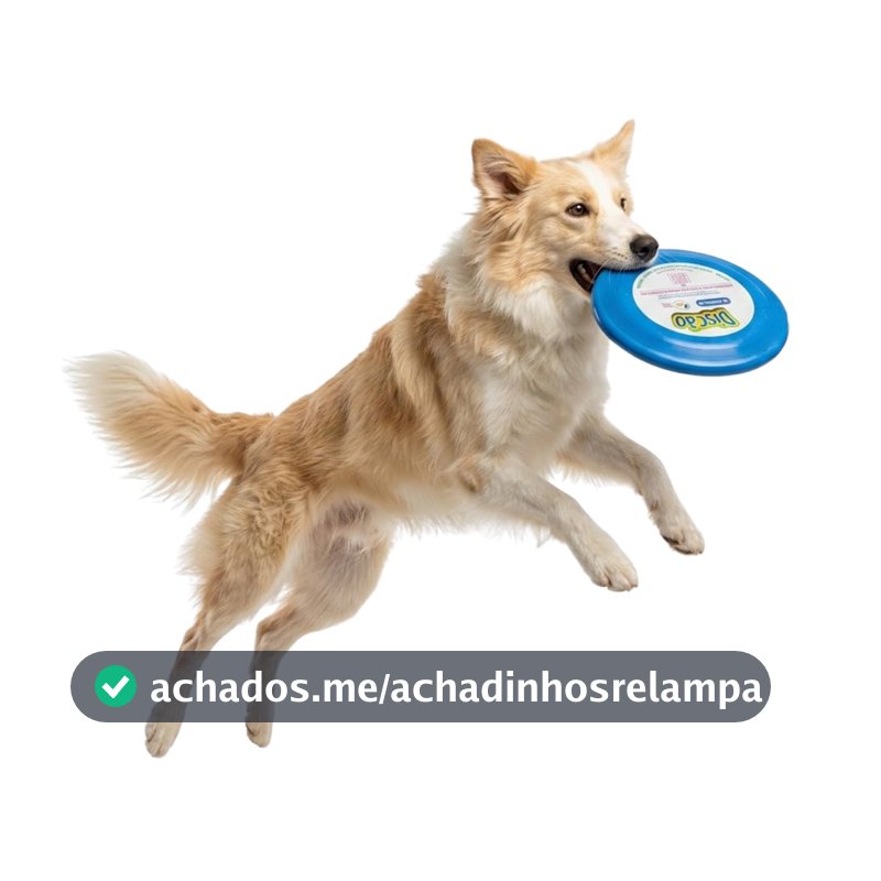 Pet Games Discão Azul - Brinquedo Interativo Frisbee Para Cães