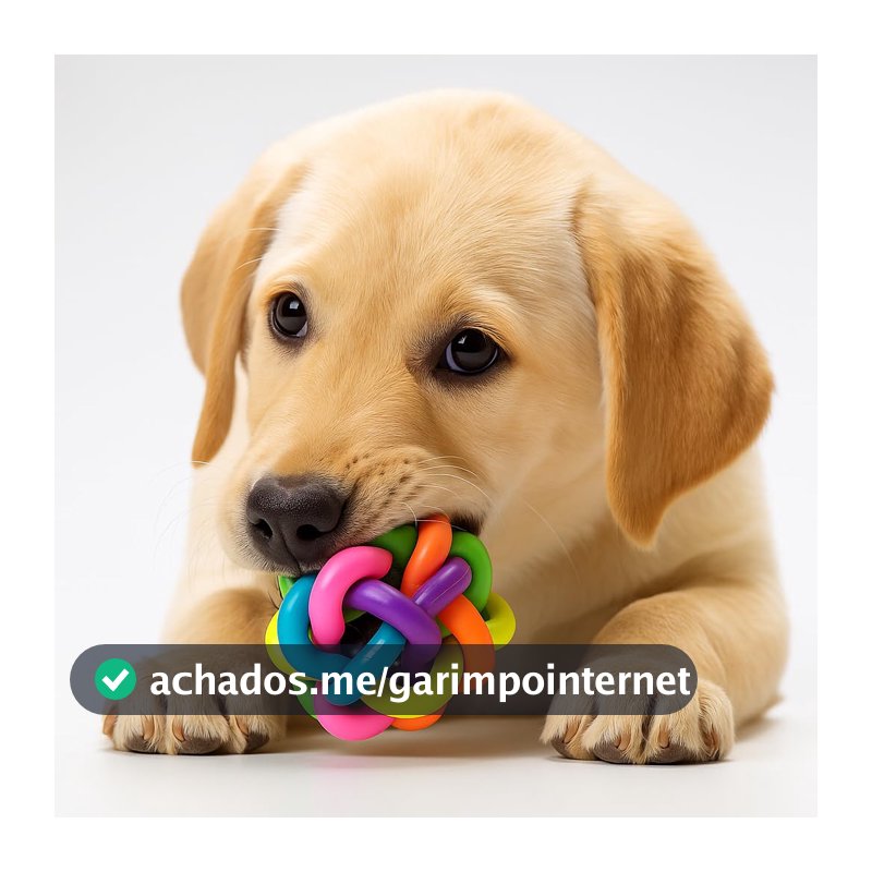 Mordedor Pet Kit Com 2 Unidades de Brinquedo Para Pet Cães Gatos Animais Domésticos Com Guizo Colorido
