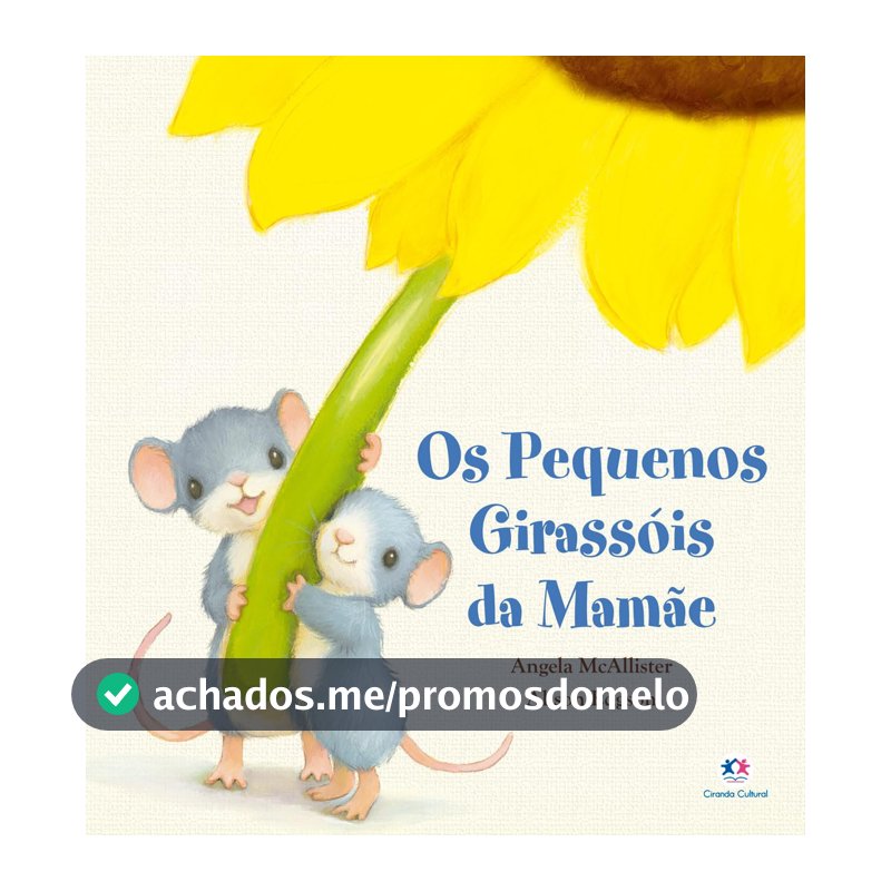 Os pequenos girassóis da mamãe