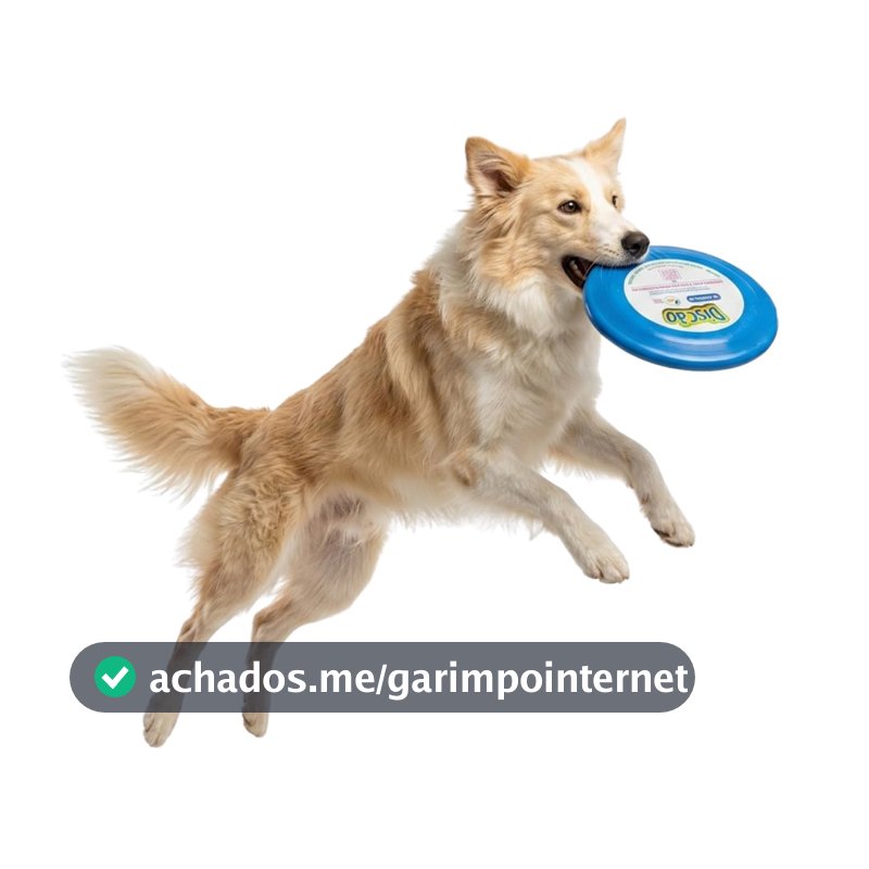 Pet Games Discão Azul - Brinquedo Interativo Frisbee Para Cães
