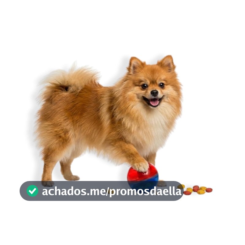 Pet Games Comedouro Brinquedo Pet Ball Mini